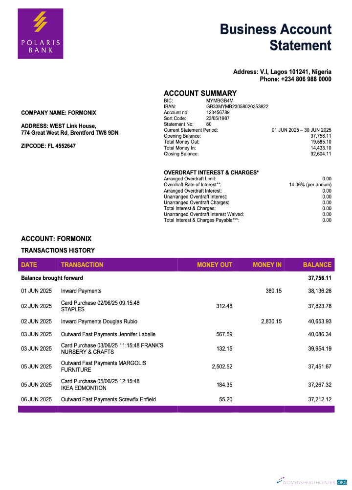 Download Nigeria Polaris enterprise account statement Word and PDF template Photoshop template